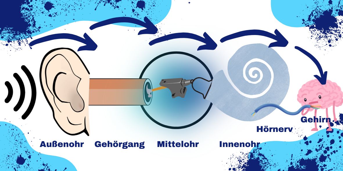Featured Post Image - WIE FUNKTIONIERT DEIN HÖREN?