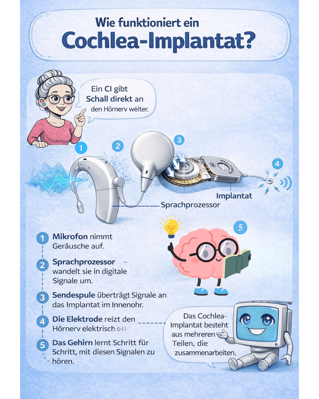 Infografik die zeigt wie ein Cochlea Implantat funktioniert mit Mikrofon Sprachprozessor Sendespule und Elektrode im Innenohr
